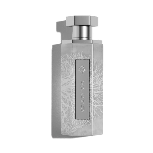 Silver perfume bottle with intricate design on a white background