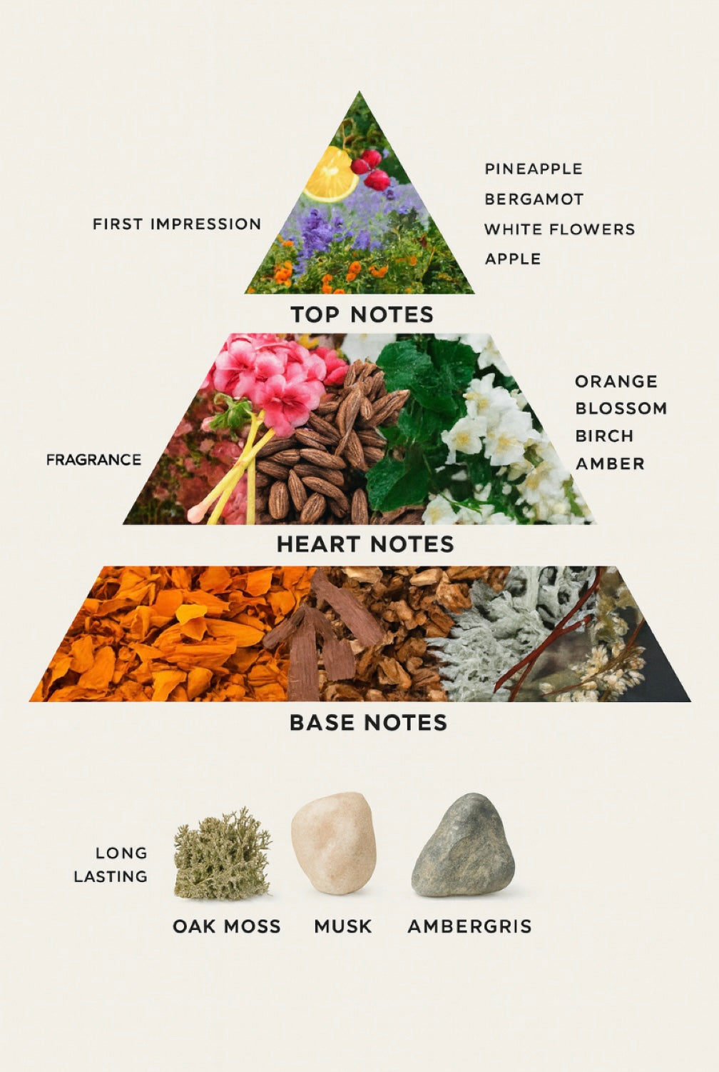 alt="Afnan Supremacy Collector’s Edition perfume bottle"